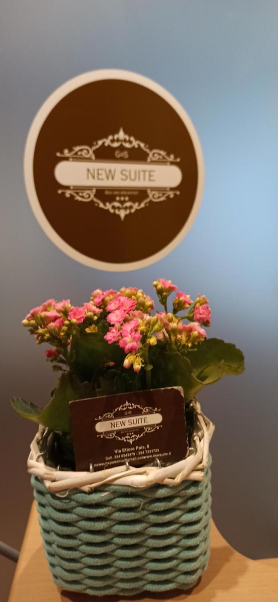 New Suite ปาแลร์โม ภายนอก รูปภาพ